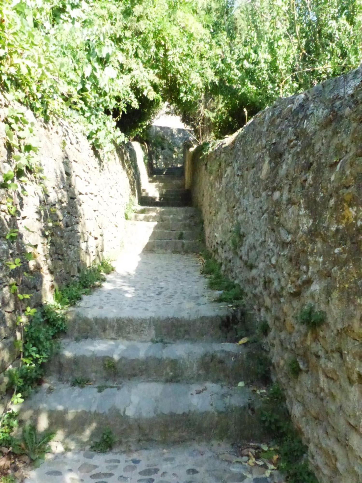 Gite De La Cite Villa Carcassonne Bagian luar foto